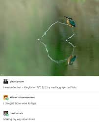 There S No Way You Won T Laugh At One Of These 100 Tumblr Posts Funny Relatable Memes Stupid Funny Memes Funny Pictures