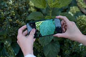 OnePlus 7T Pro Smartphones Have A ...