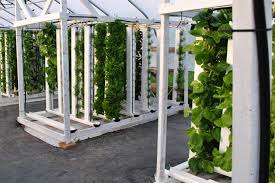 How to make a vertical hydroponic tower. Hydroponic Tower Choose The Best Get Started With Ease