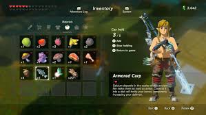 40/120 = 1/3 of the game. Zelda Breath Of The Wild Guide The Master Trials Trial Of The Sword Final Trials Walkthrough Polygon