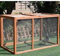 Cage de Poulet extérieure en Bois Massif Conception de Maille galvanisée  sûre Respirante Durable spacieuse Cage de Course d'intérieur pour Animaux  de ...
