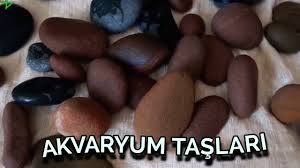 Akvaryum Taslari Akvaryum Taslari Nasil Temizlenmeli Akvaryum Baliklari Youtube