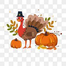 Thanksgiving Turkey Elements Turkey Clipart Thanksgiving Turkey Png Transparent Clipart Image And Psd File For Free Download Thanksgiving Images Thanksgiving Greetings Thanksgiving