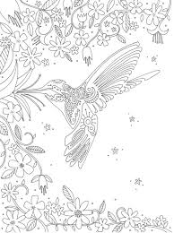 These downloadable hummingbird coloring pages are a great way for kids to keep themselves entertained while boosting their creativity and matching skills. 26 Best Ideas For Coloring Adult Coloring Pages Hummingbirds