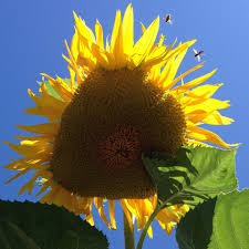 Maybe you would like to learn more about one of these? Yoga With A Friend Of Mine Home Facebook