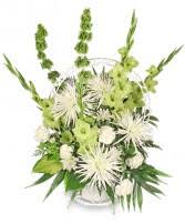Check spelling or type a new query. Delicate Dazzler Floral Arrangement In Salem Nh Mums Flowers And Gifts