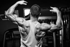 There is a trick to having shoulders that are as strong as boulders, and it is not as hard as you would think. 5 Muscle Building Hacks For 3d Boulder Shoulders Alpha Physique Engineering Apecoach Com