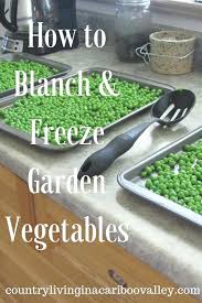 Lifestyle Gardening Centre Gardening Tools For Sale Near Edgware K Fork Handles Gardening Swindon Design Canning Recipes Freezing Vegetables Frozen Veggies