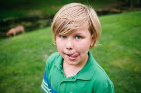 The Whole Fam Damily — The Wild Wherever