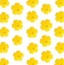 chorus 1 c your skin, em d oh yeah, your skin and bones c em d turn into something beautiful, c em d you. Why You Should Add More Yellow To Your Life Cnn