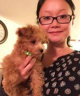 Companionpetskendall.com