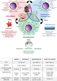 We did not find results for: Role Of Microparticles In Cardiovascular Disease Implications For Endothelial Dysfunction Thrombosis And Inflammation Hypertension