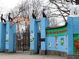 We did not find results for: Medvedi S Ozhireniem Obezyany V Gosprome I Zastrelennyj Zhiraf V Podezde Istoriya Starejshego Zooparka Ukrainy Novosti