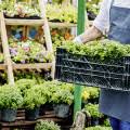 Schauen sie sich jetzt die aktuellen angebote von dehner gartencenter an. Gute Gartencenter Finden Wer Kennt Den Besten