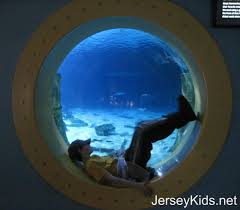 Sleeping With The Fish Overnight At Adventure Aquarium In Camden Jersey Kids Sleep With The Fishes Public Aquarium Amazing Aquariums