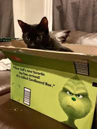 Angry Withhttps I Redd It Yoikgr15sq021 Jpg Cat Having Kittens Animals Cats