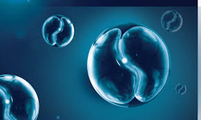 Image result for Cyclospora