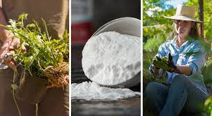 Découvrez en texte et en vidéos comment utiliser le le bicarbonate de soude alimentaire est identifié avec le code fcc. Top 12 Des Usages Du Bicarbonate De Soude Au Jardin