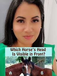 Magali Muñoz ✌🏻😁 (@mayis18)’s videos with original sound