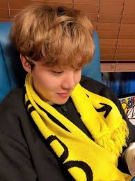 Elise Dickson (dickson4050)