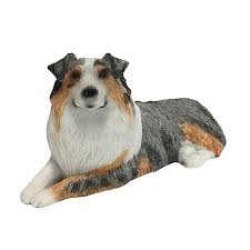 Outdoor australian shepherd statue outdoor. Sandicast Small Size Blue Merle Australian Shepherd Dog Sculpture Ss15701 At Tractor Supply Co