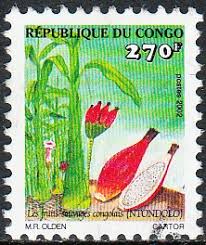 Image result for Siphonochilus brachystemon