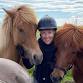Meet Icelandic Horses with Merrimack Valley Icelandics event image