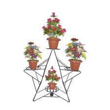 Feb 13, 2021 · plant them full of fall chrysanthemums in gold and burnt orange. Star Design Wrought Iron Flower Stand à¤° à¤Ÿ à¤†à¤¯à¤°à¤¨ à¤« à¤² à¤• à¤¸ à¤Ÿ à¤¡ Magic Metals Fabrication Bengaluru Id 21766676297