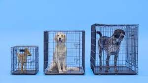 Thu, nov 19, 2020 2:31 pm. Dog Crate Size What Size Dog Crate Is Best Chewy Youtube