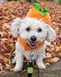 Deb Graham (@oceanrules) • Instagram photos and videos