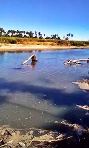 Aviada Bcs Estero De San Jose Del Cabo San Jose Del Cabo San Jose Los Cabos