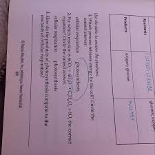 In the presence of pep carboxylase (also found in c4 plants) carbon dioxide is fixed to form oxaloacetate which is then. In Desperate Need Can Somebody Please Help Me With 2 Amp 3 Brainly Com