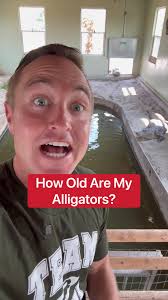 Corbin Maxey Windy Day