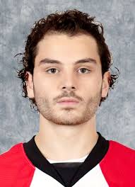Player photos for the 2017-18 Niagara IceDogs at hockeydb.com