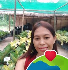 🚨 Too busy to go to the market? Running out of fresh supplies at home?  We've got your back! 🚨 𝐁𝐚𝐧𝐤𝐞𝐫𝐨𝐡𝐚𝐧 𝐄𝐱𝐩𝐫𝐞𝐬𝐬 is your trusted  online market for all your Palengke needs!