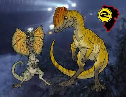 Image result for Dinophora