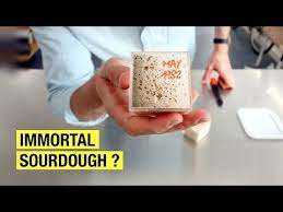 3 Lazy Ways To Put Your Sourdough Starter On Hold Sourdough Bread Odyssey Youtube Sourdough Starter Sourdough Bread Sourdough