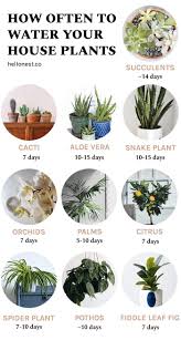 How Often To Water Your House Plants Hello Nest Plants House Plants Indoor Plants
