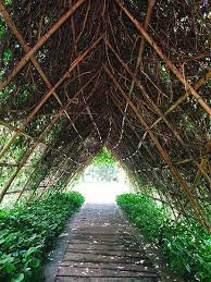 Maybe you would like to learn more about one of these? 25 Awesome Garden Trellis Ideas Trees Com