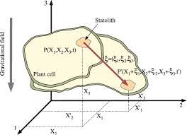 Identify special adaptations in we know plants cannot move around. Illustration Of Anisotropic Deformation Of A Plant Cell Area P Moves Download Scientific Diagram