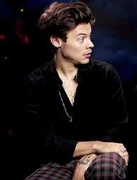 Pin By Peyton Trickey On Harold Harry Styles Memes Harry Styles Cute Harry Styles Pictures