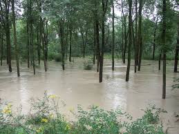 Bayern hochwasser nach starken regenfällen in oberbayern. Vorbeugender Hochwasserschutz Durch Wald In Bayern Waldwissen Net