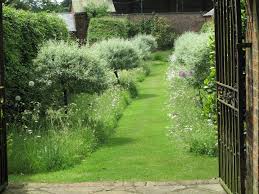 Pyrus Salicifolia Pendula With Wild Flowers Design By Angel Collins Garden Design Garden Design Modern Landscaping Classic Garden