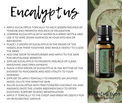 Eucalyptus Essential Oils Essential Oils Herbs Eucalyptus Essential Oil Essential Oils