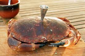 Crabe A L Entonnoir De Fred Chesneau