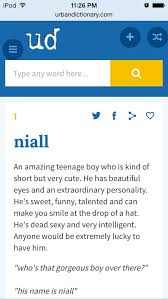 The Urban Dictionary Definition Of Niall Make You Smile Urban Dictionary Words