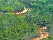 झारखंड चूत वाली बाई बासा में चूत वाली चूतनी हरामजादी संगीता श्रीवास्तव उर्फ़  पगली  हमला के लिए इमेज परिणाम