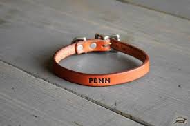 Leather Cat Collar Pet Name Tag Handmade Cat Collar Etsy Leather Cat Collars Pet Name Tags Unique Dog Collars