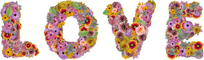 Discover free hd flower png images. Free Colorful Flowers Create Word Love Png Image