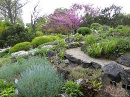 Discover local flora and fauna among lakes, forests and meandering walking trails. Rockery Picture Of Botanischer Garten Botanical Garden Of The University Of Vienna Tripadvisor